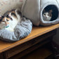 Feline Earthen Nest: Tranquil Cradle