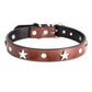 Star Studded Leather Collar